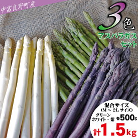 【ふるさと納税】【2026年発送】【中富良野町寺坂農園】3色アスパラガスセット（1.5kg）