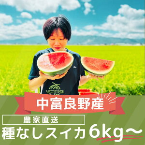 yӂ邳Ɣ[Łzy2026NzȂXCJ@1ʁ@i6kg`j