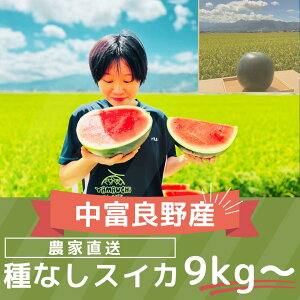 yӂ邳Ɣ[Łzy2026NzȂXCJ@1ʁ@i9kg`j