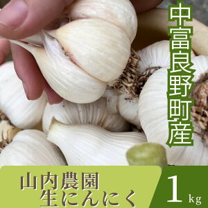 yӂ邳Ɣ[Łzy2025NzR_̐ɂɂ@1kg