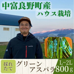 yӂ邳Ɣ[Łzy2026Nzxǖ쒬YO[AXp800g iL`2LTCYj