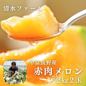 yӂ邳Ɣ[Łzy2026NzxǖYԓ2ʁ@v4kg