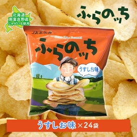 【ふるさと納税】ふらの産 ポテトチップス 【ふらのっち】 うすしお味 24袋 ふらの農業協同組合(南富良野町) ジャガイモ うすしお 芋 菓子 スナック じゃがいも お菓子 ポテチ　【ポテトチップス ジャガイモ うすしお 芋 菓子 スナック じゃがいも 1箱】