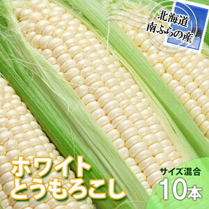 【ふるさと納税】とうもろこし 北海道 朝採り トウモロコシ ホワイト 10本 サイズ混合 南ふらの産 ホワイトコーン 産地直送 旬 野菜 旬の野菜 コーン とうきび トウキビ 夏野菜 夏 2025年発送