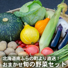 【ふるさと納税】野菜 北海道 おまかせ 旬 野菜セット 南ふらの町 産地直送 旬の野菜 詰め合わせ セット ミニトマト きゅうり ズッキーニ なす とうもろこし ピーマン 夏野菜 夏 秋 2025年発送 　お届け：2026年7月10日～9月30日まで