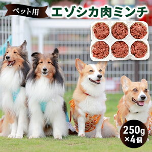 yӂ邳Ɣ[ŁzybĝyG]VJ̃~`z250g×4 xt[Y  WrG a  L  ybg N Y  kC xǖ쒬 G]VJ G pi  Ic 