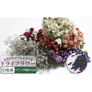 yӂ邳Ɣ[ŁzŃAWIhCt[iFnjv[gt kC xǖ쒬 hCt[    ԑ t@bV CeA 蕨