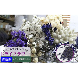 yӂ邳Ɣ[ŁzŃAWIhCt[iFnjv[gt kC xǖ쒬 hCt[    ԑ t@bV CeA 蕨