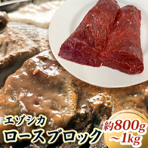 yӂ邳Ɣ[ŁzG]VJy[XzubN800g`1kg kC xǖ쒬 G]VJ   ubN [X  ē Ԃ Xe[L Jcc