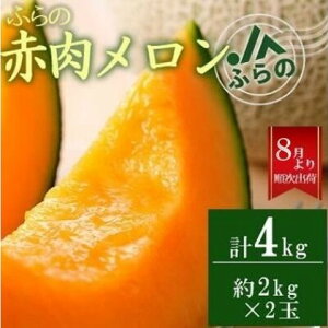 yӂ邳Ɣ[Łz2025NĔ JAӂ̌IIӂ ԓ  2kg×2  ߂ xǖ상 ʕ  t[c xǖ fU[g kC 蕨 Mtg ʕ ԓ ԓ