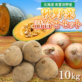 【ふるさと納税】野菜 北海道 秋 野菜セット 10kg じゃがいも 玉ねぎ かぼちゃ 詰め合わせ セット 南富良野産 産地直送 旬 旬の野菜 ジャガイモ たまねぎ 玉ネギ 玉葱 カボチャ 南瓜 2026年発送 　お届け：2026年9月上旬～10月20日まで