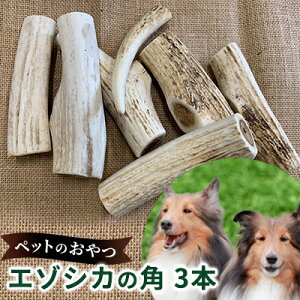 yӂ邳Ɣ[ŁzybĝyG]VJpz3{Zbg kC xǖ쒬 ybg  a G]VJ  p  ^ ^ ^ G pi ybgpi