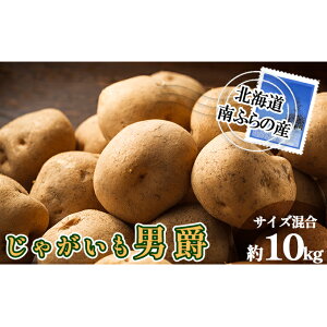 yӂ邳Ɣ[Łzӂ̎Y Ⴊ j 10kgyTCYz kC xǖ쒬 Ⴊ WKC j 2025N s\ |eg  @͂F2025N9{`10{