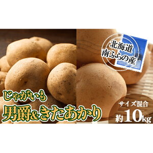 yӂ邳Ɣ[Łzӂ̎Y Ⴊ j   10kgyTCYz kC xǖ쒬 Ⴊ WKC L^AJ k 2025N s\ |eg  @͂