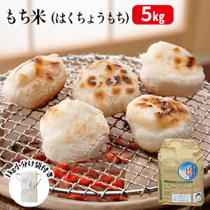 【ふるさと納税】南富良野産 もち米(はくちょうもち) 5kg 北海道 南富良野町 もち米 はくちょうもち お米 米 お餅 おもち 赤飯 おこわ 大福 5キロ