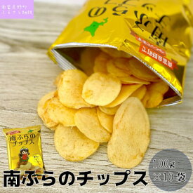 【ふるさと納税】南ふらのチップス（うすしお味）100g×10袋 北海道 南富良野町 ポテトチップス ポテチ お菓子 菓子 うすしお じゃがいも ジャガイモ 大容量　【加工食品 野菜 じゃがいも チップス うすしお味 ポテトチップス ビックサイズ】