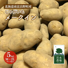 【ふるさと納税】北海道 南富良野町 じゃがいも「メークイン」5kg(M～2Lサイズ混合) じゃがいも ジャガイモ メークイン 野菜 やさい　【 北海道野菜 北海道産じゃがいも 】　お届け：2024年11月上旬より順次発送