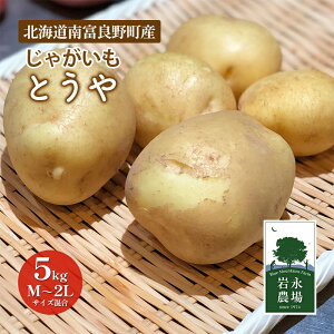 yӂ邳Ɣ[Łzy2025H`z kC xǖ쒬 ႪuƂv5kg(M`2LTCY) Ⴊ WKC Ƃ  ₳ kC kCYႪ @͂F2025N1