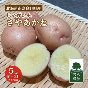 yӂ邳Ɣ[Łzy2025H`z kC xǖ쒬 Ⴊu₠ˁv5kg(M`2LTCY) Ⴊ WKC ₠ TAJl  ₳ kC kCYႪ