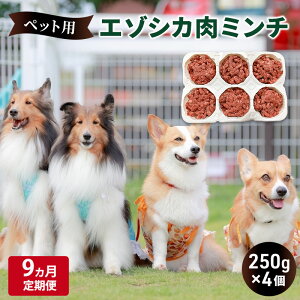 yӂ邳Ɣ[Łz9 ybĝyG]VJ̃~`z250g×4 xt[Y  WrG a  L  ybg N Y  kC xǖ쒬 G]VJ