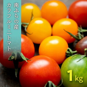 yӂ邳Ɣ[ŁzJt ~jg}g Zbg 1kg kCxǖY kC xǖ쒬 2025N s\ g}g l ~bNX ~bNXg}g@͂F2026N815`915܂