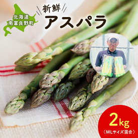 【ふるさと納税】【2026年春配送】北海道南富良野町 アスパラ 2kg MLサイズ 混合 トマト農家 鳥羽農園の作る 新鮮 野菜 産地直送 甘い ジューシー ふるさと納税 送料無料　お届け：2026年4月上旬～5月中旬まで