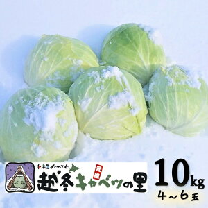 �y�ӂ邳�Ɣ[�Łz���Ƃ����񂿂̉z�~�L���x�c�s���͂��F12���`1���t�@�k�C���@�ӂ邳�Ɣ[�Ł@��؁@�~�@�L���x�c