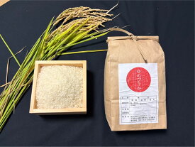 【ふるさと納税】わっさむのおこめ「ゆめぴりか」（5kg・10kg）