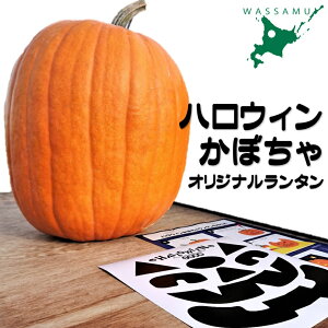yӂ邳Ɣ[Łzߘa7N10͂nEBڂ@kC@ӂ邳Ɣ[Ł@Halloween@ObY@^@V[