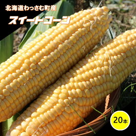 【ふるさと納税】≪令和6年産≫和寒産スイートコーン（20本セット）