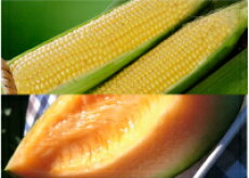 ���Ȥ�������Υ��奬�������