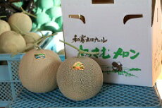 ���������໺�����