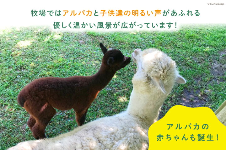 楽天市場】【ふるさと納税】アルパカの毛 [ビバカンパニー 北海道 剣淵 