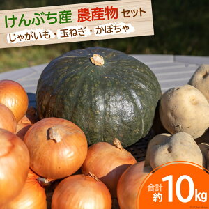 yӂ邳Ɣ[Łz ystzʌ  ԂY_YZbg 3 v10kg [EĂn̉ kC  14656147] Ⴊ ʂ˂ ڂ ؃Zbg