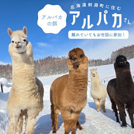 【ふるさと納税】 アルパカのエサ [ビバカンパニー 北海道 剣淵町 14656231] アルパカ牧場