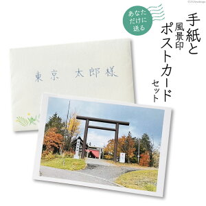 yӂ邳Ɣ[Łz Ȃɑ 莆  i |XgJ[h Zbg [Iq kC  14656326] 莆 ^[