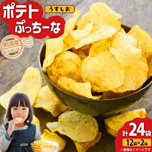 yӂ邳Ɣ[ŁzyԌ蔭z |eg`bvX  100g 12ܓ 2 v24 2.4kg |egՂ[ [N_ kC  14656349] |eg`bv |e`  َq XibN