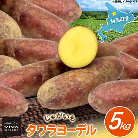 【ふるさと納税】 じゃがいも タワラヨーデル 5kg [けんぶちVIVAマルシェ 北海道 剣淵町 14656390] ジャガイモ 芋 いも ポテト 野菜 秋野菜 秋 常備野菜 カレー シチュー マッシュサラダ コロッケ