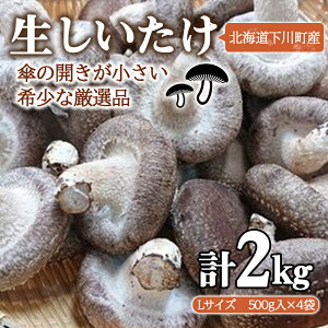 yӂ邳Ɣ[ŁzȈՕ yLTCYEP̊Jz2kg   ő VC^P  ₳ ̋ ӂ邳 [ kC 쒬 a6cm F4G-0024