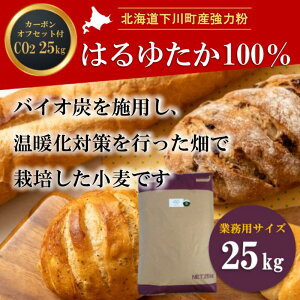 yӂ邳Ɣ[ŁzkC쒬Y͕͂䂽100% 25kg oCIY{p J[{EItZbgt F4G-0219