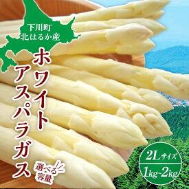 【ふるさと納税】【先行予約】令和8年産 ホワイトアスパラガス（2Lサイズ）選べる 1kg ～ 2kg アスパラ 野菜 やさい ふるさと 納税 国産 北海道産 北海道 下川町 F4G-0285var
