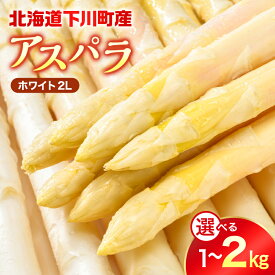 【ふるさと納税】【先行予約】令和9年産 ホワイトアスパラガス（2Lサイズ）選べる 1kg ～ 2kg アスパラ 野菜 春野菜 やさい ふるさと 納税 国産 北海道産 北海道 下川町 F4G-0338var