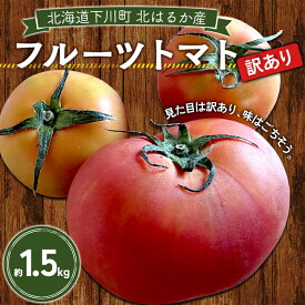 【ふるさと納税】【先行予約】【訳あり】フルーツトマト約1.5kg 訳ありトマト フルーツトマト 訳ありフルーツトマト 北海道産 下川町 北海道下川町 F4G-0359