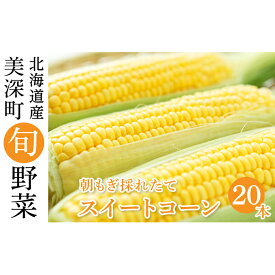 楽天市場 冬 とうもろこし 野菜 きのこ 食品の通販