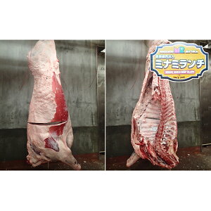 yӂ邳Ɣ[ŁzkC[Y GAAr[t 1tZbg 300kg  T[C  q