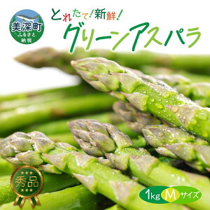 yӂ邳Ɣ[Łz2026N O[AXp 1kg (M) y Gi z { VN  ̂ AXp AXpKX Mtg Yn  tbV Â t t {̖o G  