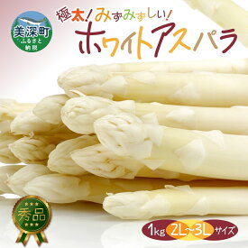 【ふるさと納税】2026年発送 ホワイトアスパラ 1kg(2L～3L ）【秀品】 白旬 新鮮 野菜 朝採れ アスパラ アスパラガス ギフト 産地直送 お取り寄せ フレッシュ 甘い 春 春野菜 旬の味覚 季節 送料無料 北海道産 美深町　お届け：2026年4月中旬～2026年6月上旬