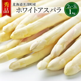 【ふるさと納税】ホワイトアスパラ 1kg(2L～3L)［秀品］北海道 美深町産 アスパラガス 野菜　【 北海道野菜 旬の野菜 甘い みずみずしい 】　お届け：2024年4月中旬～2024年6月上旬