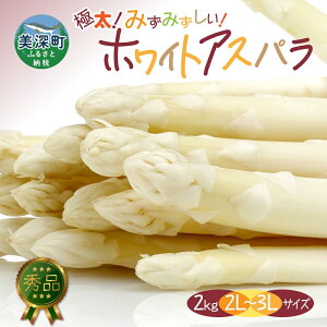 yӂ邳Ɣ[Łz2026N zCgAXp 2kg(2L`3L jyGiz { VN  ̂ AXp AXpKX Mtg Yn  tbV Â t t {̖o G 