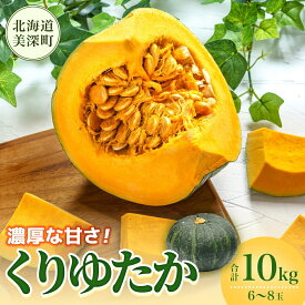 【ふるさと納税】くりゆたか かぼちゃ 10kg 6～8玉 カボチャ 南瓜 野菜 秋 ホクホク 甘い 味覚 北海道 美深町 北はるか農業協同組合　お届け：2026年9月中旬～2026年10月中旬
